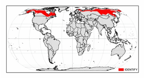 The climate zone shown on the map below is   A)  humid continental mild-summer. B)  subarctic. C)  humid continental hot-summer. D)  tundra. E)  ice cap.