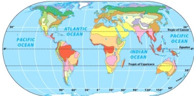 The biome shaded in off-white on the map is   A)  midlatitude coniferous forest. B)  semi-arid and cold desert. C)  Mediterranean woodland and shrub. D)  midlatitude grassland. E)  hot and dry desert.