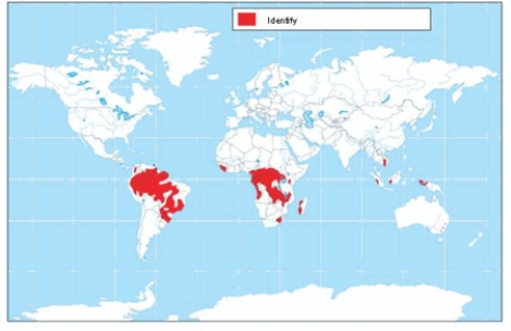 The soil order shown on the map is   A)  andisols. B)  ultisols. C)  oxisols. D)  mollisols. E)  aridisols.
