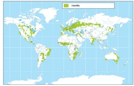 The soil order shown on the map is   A)  alfisols. B)  ultisols. C)  spodosols. D)  mollisols. E)  inceptisols.