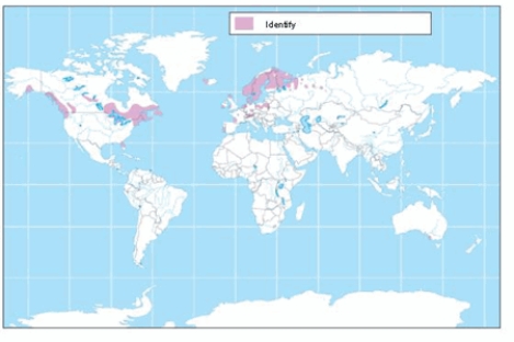 The soil order shown on the map is   A)  alfisols. B)  gelisols. C)  inceptisols. D)  spodosols. E)  entisols.