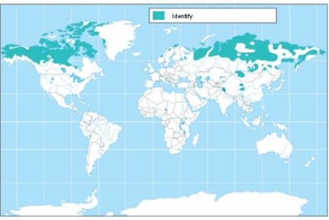 The soil order shown on the map is   A)  andisols. B)  inceptisols. C)  alfisols. D)  gelisols. E)  entisols.