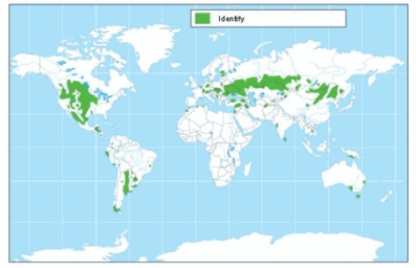 The soil order shown on the map is   A)  alfisols. B)  mollisols. C)  aridisols. D)  spodosols. E)  entisols.