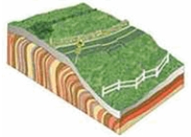 The type of mass wasting depicted is   A)  slump. B)  rockfall. C)  soil creep. D)  solifluction. E)  mudflow.