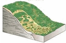 The type of mass wasting depicted is   A)  slump. B)  rockfall. C)  mudflow. D)  debris flow. E)  solifluction.