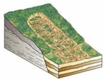 The type of mass wasting depicted is   A)  slump. B)  solifluction. C)  earthflow. D)  debris slide. E)  rockfall.