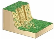 The type of mass wasting depicted is   A)  slump. B)  rockfall. C)  debris flow. D)  solifluction. E)  debris slide.