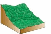 The type of mass wasting depicted is   A)  debris flow. B)  earthflow. C)  soil creep. D)  solifluction. E)  mudflow.