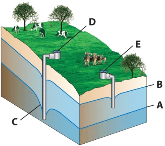 The letter_____ in the following diagram corresponds to the well that will run dry in the dry season and produce water in the wet season.   A) A B) B C) C D) D E) E