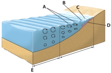 Which letter in the diagram represents breakers?   A)  A B)  B C)  C D)  D