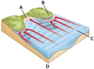 <strong>From the accompanying diagram,which letter represents the headland? </strong> A) A B) B C) C D) D E) A and B