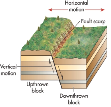 The illustration below shows a   A)  strike-slip fault. B)  horst. C)  normal fault. D)  reverse fault. E)  graben.