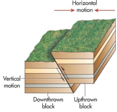 The illustration below shows a   A)  strike-slip fault. B)  horst. C)  normal fault. D)  reverse fault. E)  graben.
