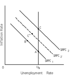   -Refer to Exhibit 16-3.The economy is at point C.If a decrease in aggregate demand is correctly anticipated in the short run,new classical theory would predict A)  no movement from point C. B)  immediate movement to point C'. C)  immediate movement to point B. D)  immediate movement to point A.
