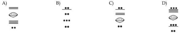 72,302; Mayan