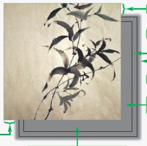   -With the box-shadow property,you can specify all of the following EXCEPT ____. A)  the size of the shadow B)  the depth of the shadow C)  the width of the blur along the shadow D)  the distance it is offset from the element