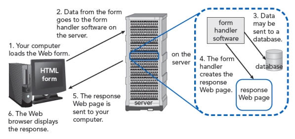   -All of the following are examples of database software that can be used to store and manipulate data in the situation shown in the accompanying figure EXCEPT ____. A)  PHP B)  MySQL C)  MS SQL D)  Oracle
