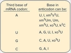       What is the minimal number of tRNAs that can be used to recognize all of the codons for threonine? A)  1 B)  2 C)  3 D)  4