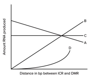 In the regulation of Igf2,it is possible that the effects of the association of the ICR and DMR regions with the CTC factors could be distance dependent. An experiment could be devised in which the distances between these regions could be varied and the rates of transcription could be measured. The graph shows some possible results. Which letter represents the most likely outcome if increasing the distance between ICR and DMR does not greatly enhance transcription until a critical distance is reached?   A)  A B)  B C)  C D)  D