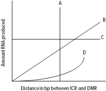 <strong> It is possible that the effects of the association of the ICR and DMR regions with the CTC factors could be distance dependent. An experimental outline could be devised where the effects of the distances of these regions could be varied and the rates of transcription could be measured. Below is a graph of some possible results. Which letter represents the most likely outcome if an increase in distance between these two regions results in a diminished effect on transcription rates.</strong> A) A B) B C) C D) D