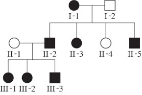 Filled in circles and square show affected individuals. Select the mode of inheritance for individual III-3.   A)  Incomplete dominance B)  Codominance C)  Pseudoautosomal inheritance D)  X-linked inheritance