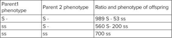 <strong>The results of a study of a population is presented in the following table. The - indicates that the other allele is unknown Which of the conclusions listed below is correct?</strong> A) The ratios of the offspring in the S- X S - matings conform to the expected ratio for a monohybrid cross. B) The ratios of the offspring in the S - X S - matings are due to some S - parents being homozygotic and some being heterozygotic. C) If the S- offspring of the S - X S - matings were mated to the S - offspring from the S - X ss matings there would be no ss offspring all would be S -. D) All of the S - offspring from the S - X S - matings are homozygotic.