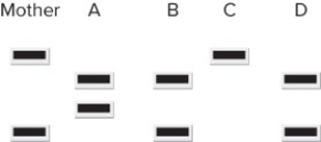 Polymerase chain reaction (PCR)  can be used for many different purposes, including determining paternity. PCR amplifies specific DNA sequences from complex mixtures and can be used to amplify sequences that although they may not have any known function may have several unique sizes and these different forms are inherited according to the Law of Segregation. Below is a diagram of an agarose gel of PCR samples from a mother, and several children. Which letters represent children that could be biologically related to the mother?   A)  A, B, and C B)  B, C, and D C)  A, B, and D D)  All of the children could be related to the mother