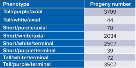 <strong>If a plant is test-crossed which of the following genes are linked? </strong> A) Flower color and height B) Flower color and flower placement C) Flower placement and height D) None of these genes appear to be linked