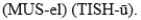 The pronunciation for the organization of the body term referring to the major covering of the external surface of the body is A)    B)    C)    D)   