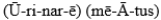 MATCHING   -Match each item with the correct description below. tube approximately 1.5''0 in female,8'' in male A)    B)    C)    D)    E)    F)    G) (NEF-ron)  H)   