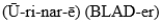MATCHING   -Match each item with the correct description below. tube approximately 1.5''0 in female,8'' in male A)    B)    C)    D)    E)    F)    G) (NEF-ron)  H)   