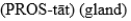 MATCHING   -Match the pronunciation with the anatomic description below. Primary male sex organs A)     B) (ep-i-DID-a-mis)  C) (vas) (DEF-ar-enz)  D)     E)  (SEM-e-nel) (VES-i-kelz)  F)    
