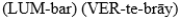 MATCHING -Match each item with the correct description below. forms the inward curve of the spine A) (KOK-siks)  B) (STUR-num)  C) (KLAV-i-kul)  D)     E)     F)    