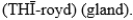 The pronunciation of the largest endocrine gland that secretes triiodothyronine (T<sub>3</sub>) and thyroxine (T<sub>4</sub>) is A)    B)    C)    D)   