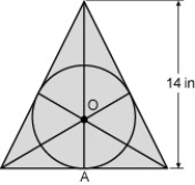 Find the circumference of a circle inscribed in an equilateral triangle if the height of the triangle is 14 in.   A) 21.99 in. B) 87.96 in. C) 29.32 in. D) 43.98 in.