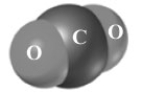 Consider the following molecule.The identity of the atoms are shown.   What is the molar mass of this substance? A) 22.00 g/mol B) 56.02 g/mol C) 28.01 g/mol D) 76.01 g/mol E) 44.01 g/mol