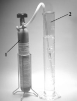 When nitrogen monoxide in the gas cylinder (1) reacts with air,nitrogen dioxide (2) is formed.   What are the formulas,respectively,for these two compounds? A) 1 - N<sub>2</sub>O,2 - N<sub>2</sub>O<sub>2</sub> B) 1 - NO,2 - N<sub>2</sub>O C) 1 - NO,2 - NO<sub>2</sub> D) 1 - N<sub>2</sub>,2 - NO E) 1 - N<sub>2</sub>O<sub>2</sub>,2 - N<sub>2</sub>O<sub>4</sub>