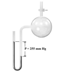 Consider the open-end manometer shown below.   When the pressure of the atmosphere is 754 mmHg,what is the pressure of the gas sample? A) 225 mm Hg B) 754 mm Hg C) 499 mm Hg D) 1009 mm Hg