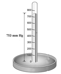 Examine the barometer shown below.   Convert the pressure reading on the barometer to atm and psi. A) 0.991 atm; 14.6 psi B) 0.991 atm; 3.90 * 10<sup>2</sup> psi C) 5.72 * 10<sup>3</sup> atm; 14.6 psi D) 5.72 * 10<sup>3</sup> atm; 3.90 *10<sup>2</sup> psi E) 75.3 atm; 1.11 * 10<sup>3</sup> psi