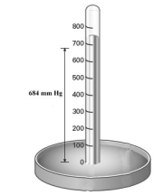 Consider the mercury barometer shown below.   What is the equivalent of pressure reading in torr? A) 684 torr B) 0.900 torr C) 6.75 torr D) 46.6 torr E) 1444 torr