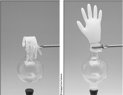 A plastic glove when attached to a flask gives the system a flexible volume.See the illustration below.   From a starting point of 257 mL at 22 °C,to what volume will the system change if the temperature rises to 137 °C due to the heating by the laboratory burner? A) 1.60 * 10<sup>3</sup> mL B) 41.3 mL C) 54.6 mL D) 357 mL E) 512 mL