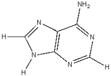 What molecular structure is shown below?   A) Thymine B) Adenine C) Cytosine D) Uracil E) Guanine