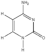 What molecular structure is shown below?   A) Thymine B) Adenine C) Cytosine D) Uracil E) Guanine