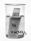 Consider the following beakers.In the beaker on the left copper metal is placed in a solution of silver nitrate.The reaction is allowed to run for 60 minutes producing the products shown on the right.     The equation for the oxidation half-reaction would be: A)    B)    C)    D)   