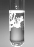 Consider the following images.The reactions occurring in each are shown in the choices.         A B C D Which of the following is an example of an electron transfer reaction? A) Pb(NO<sub>3</sub>) <sub>2</sub>(aq) + Na<sub>2</sub>SO<sub>4</sub>(aq)    2 NaNO<sub>3</sub>(aq) + PbSO<sub>4</sub>(s)  B) H<sub>2</sub>CO<sub>3</sub>(aq)    H<sub>2</sub>O(l) + CO<sub>2</sub>(g)  C) Ca(s) + 2HCl(aq)    CaCl<sub>2</sub>(aq) + H<sub>2</sub>(g)  D) Zn(s) + Cu<sup>2+</sup>(aq)    Zn<sup>2+</sup>(aq) + Cu(s)  E) Both c and d are electron transfer reactions.