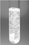 Consider the following images.The reactions occurring in each are shown in the choices.         A B C D Which of the following is an example of an electron transfer reaction? A) Pb(NO<sub>3</sub>) <sub>2</sub>(aq) + Na<sub>2</sub>SO<sub>4</sub>(aq)    2 NaNO<sub>3</sub>(aq) + PbSO<sub>4</sub>(s)  B) H<sub>2</sub>CO<sub>3</sub>(aq)    H<sub>2</sub>O(l) + CO<sub>2</sub>(g)  C) Ca(s) + 2HCl(aq)    CaCl<sub>2</sub>(aq) + H<sub>2</sub>(g)  D) Zn(s) + Cu<sup>2+</sup>(aq)    Zn<sup>2+</sup>(aq) + Cu(s)  E) Both c and d are electron transfer reactions.