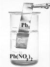 Examine the two beakers shown below.     If the metals were connected by a wire containing a meter and the two solutions by a salt bridge,the meter shows are reading of 0.95 V.Which of the following is correct? A) A spontaneous reaction occurs. B) A voltaic cell has been constructed. C) Electrons flow from the anode to the cathode. D) Reduction occurs at the cathode. E) All of the above are correct in this situation.