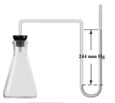 Consider the open-ended manometer shown below.In this apparatus the the arm on the right it open to the atmosphere and feels the full effect of atmospheric pressure.The pressure in the chemistry lab at the time of this experiment is 755 mm Hg.The flask contains O<sub>2</sub>,N<sub>2</sub> and Ne.   Which of the following correctly applies to this apparatus? A)    B)    C)    D)    E) none of the above