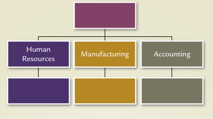 Which structure is illustrated in this diagram?    A) Vertical B) Divisional C) Team D) Matrix E) Virtual