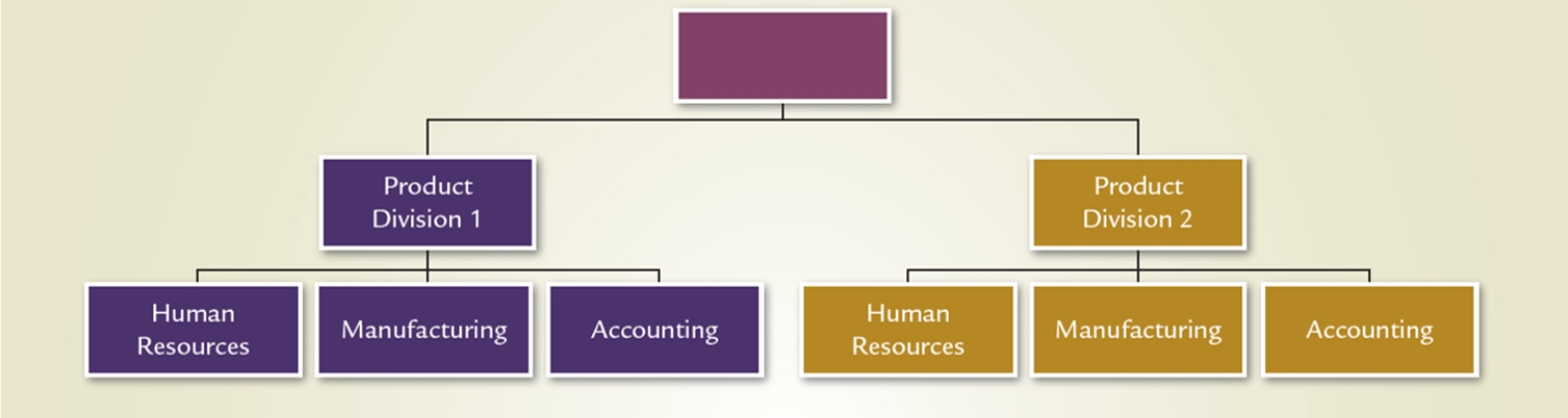 Which structure is illustrated in this diagram?   A) Vertical B) Divisional C) Team D) Matrix E) Virtual